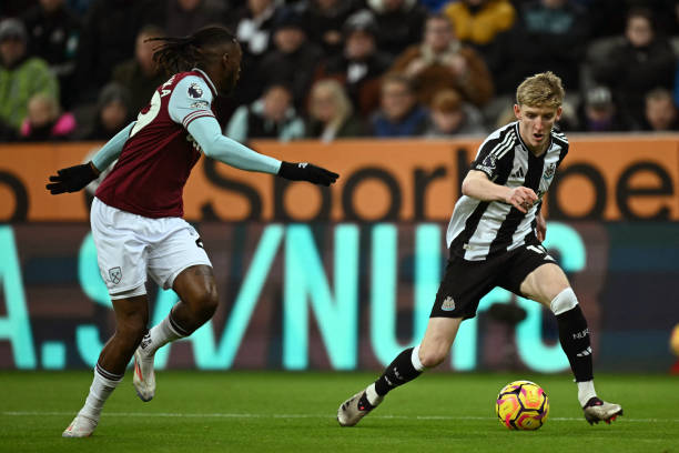 各大球队的 各大球队的